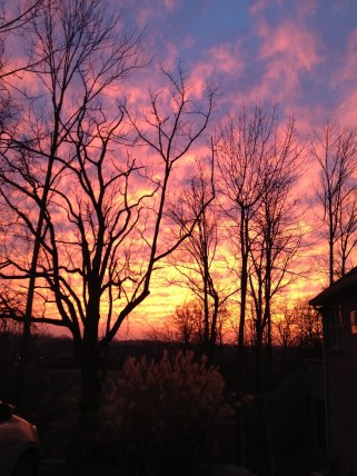 God's Promise to Me!