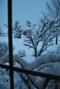 It certainly is a beautiful, winter wonderland today!  Thank you, Lord for the beauty you've given us today.