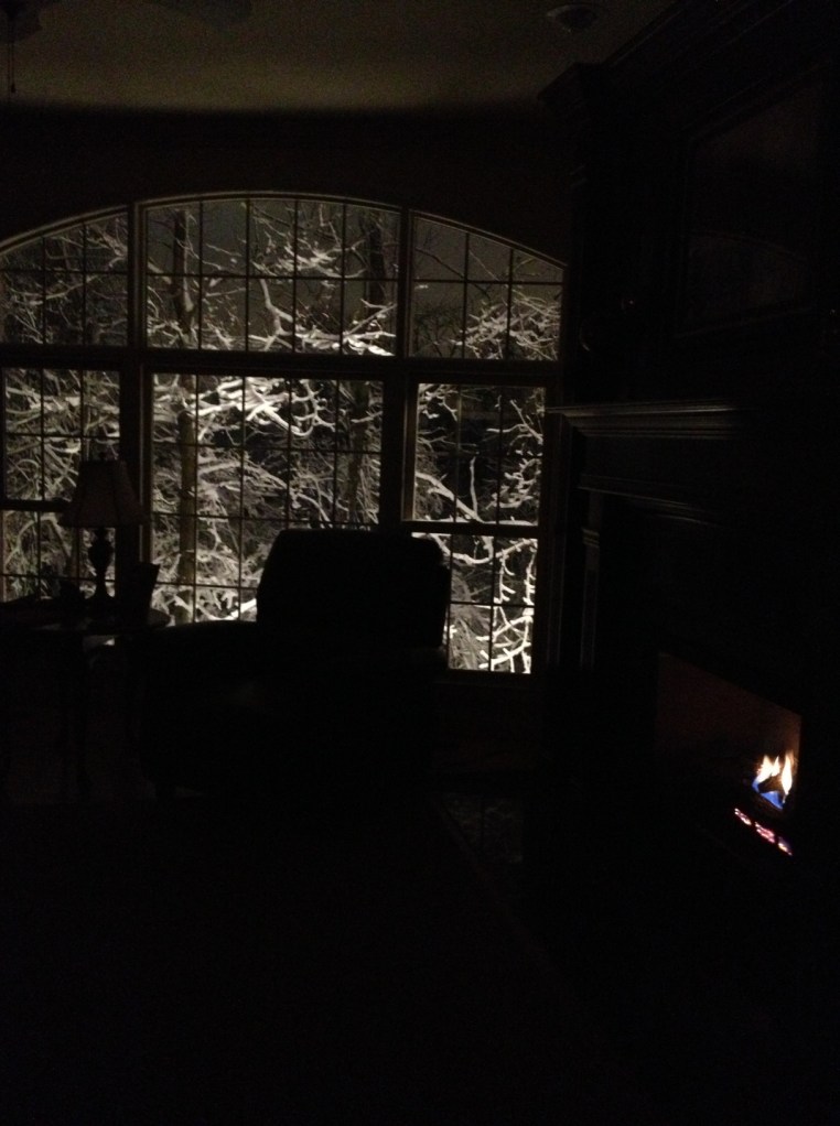 It's helpful to enjoy the beauty knowing that tomorrow it will be melted away when we get up to 50 degrees!