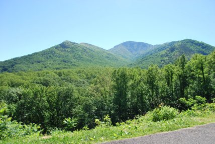 No matter what time of year we go, the mountains have such majestic beauty to them!